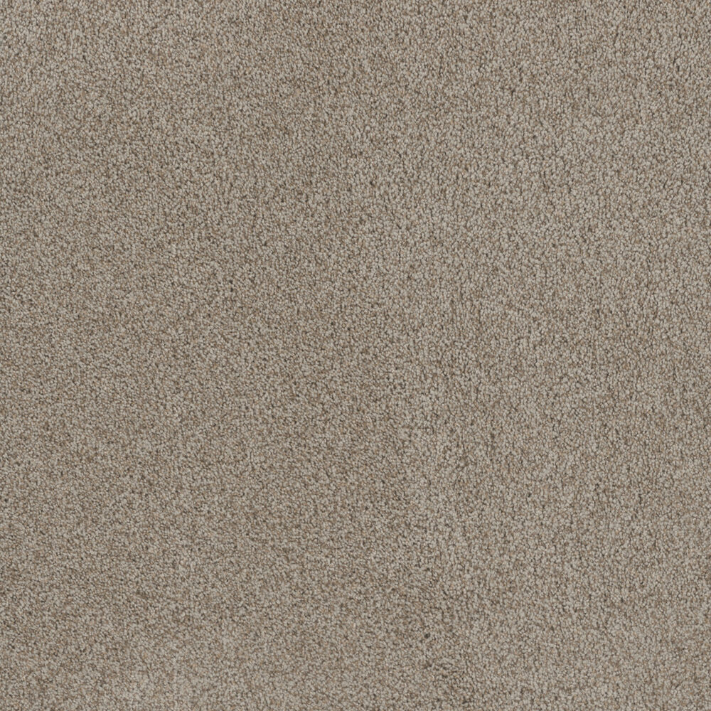 Dreamweaver Carpet Stunning Stucco Carpet 4765_905
