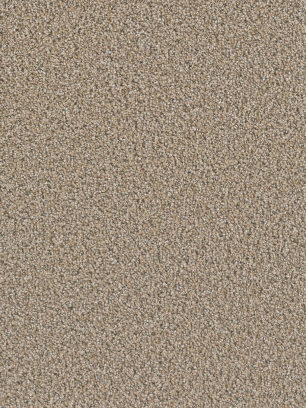 Dreamweaver Carpet Dazzling Straw Carpet 4775_551