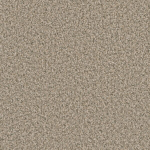 Dreamweaver Carpet Dazzling Oxford Carpet 4775_720