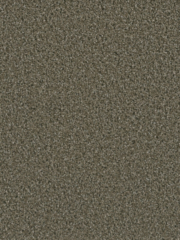 Dreamweaver Carpet Dazzling Peppercorn Carpet 4775_753