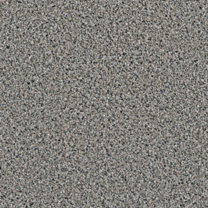 Dreamweaver Carpet Dazzling Mocha Carpet 4775_775