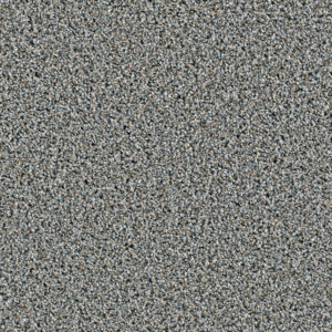 Dreamweaver Carpet Dazzling Iron Frost Carpet 4775_815