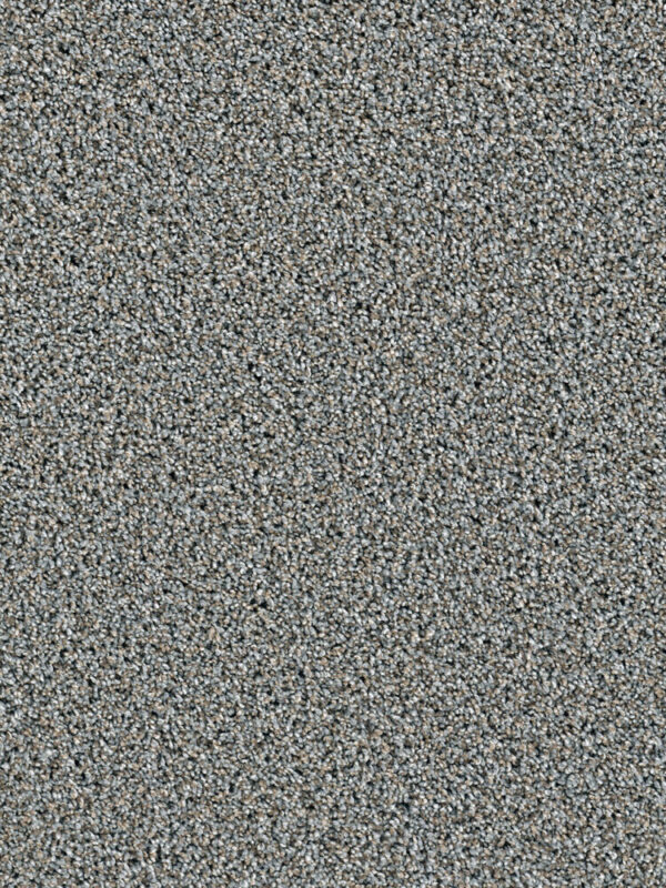 Dreamweaver Carpet Dazzling Iron Frost Carpet 4775_815