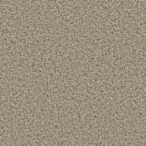 Dreamweaver Carpet Dazzling Linen Carpet 4775_824