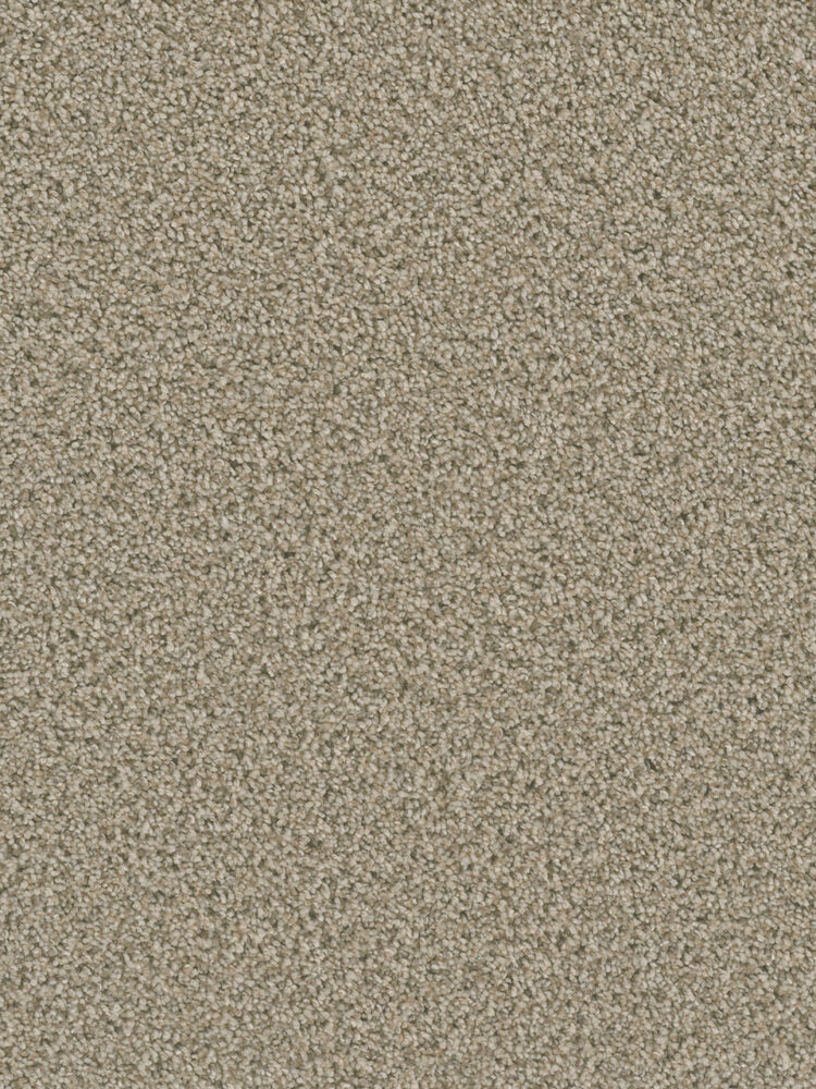 Dreamweaver Carpet Dazzling Linen Carpet 4775_824