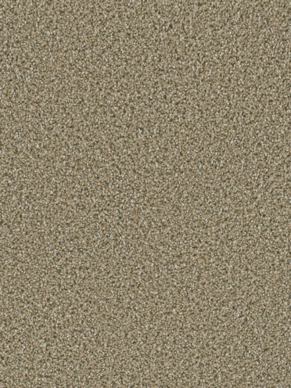 Dreamweaver Carpet Dazzling Wicker Carpet 4775_825