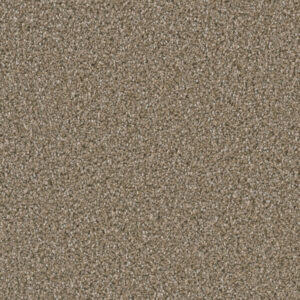 Dreamweaver Carpet Dazzling Acorn Carpet 4775_858