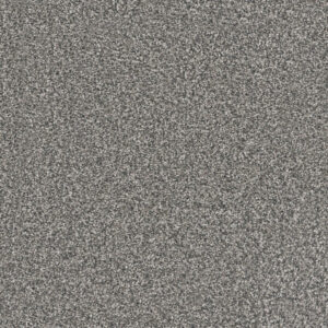 Dreamweaver Carpet Windy City II Millstone Carpet 4935_1970
