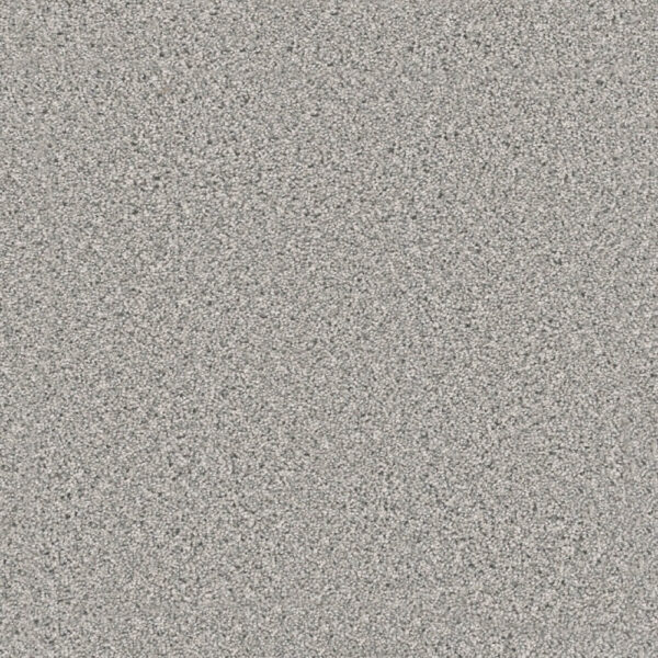 Dreamweaver Carpet Windy City I Moon Rise Carpet 4929_4145