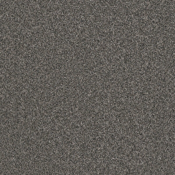 Dreamweaver Carpet Windy City III Smoky Quartz Carpet 4948_4180