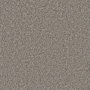 Dreamweaver Carpet Windy City II Mesa Falls Carpet 4935_6028
