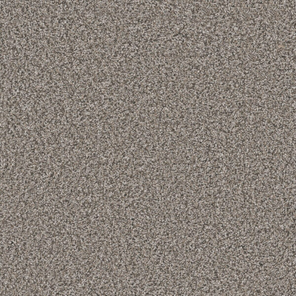 Dreamweaver Carpet Windy City I Mesa Falls Carpet 4929_6028