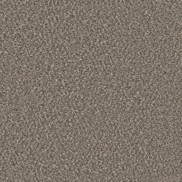 Dreamweaver Carpet Windy City I Autumn Glow Carpet 4929_6030