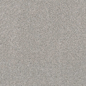 Dreamweaver Carpet Windy City II Marble Glaze Carpet 4935_6048