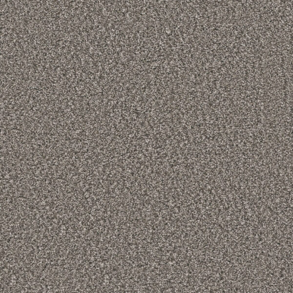 Dreamweaver Carpet Windy City I Olivewood Carpet 4929_6050