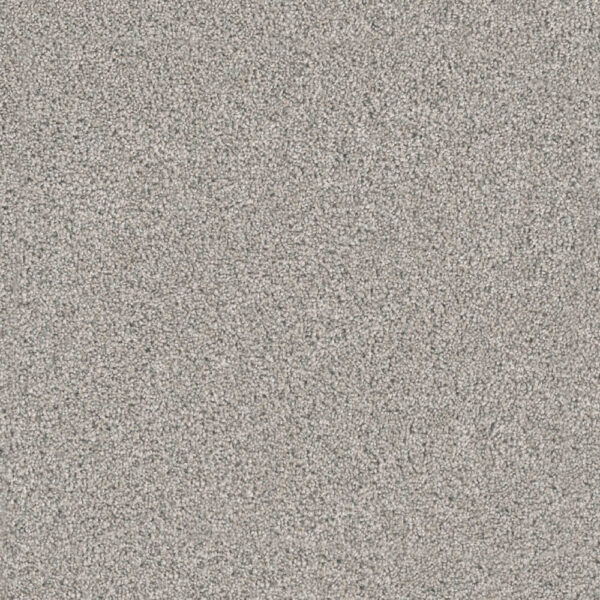Dreamweaver Carpet Windy City II Falling Star Carpet 4935_6069