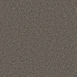 Dreamweaver Carpet Windy City II Rugby Carpet 4935_6112