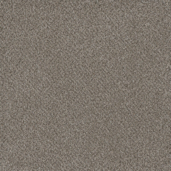 Dreamweaver Carpet Titan III Oakland Carpet 4765_143