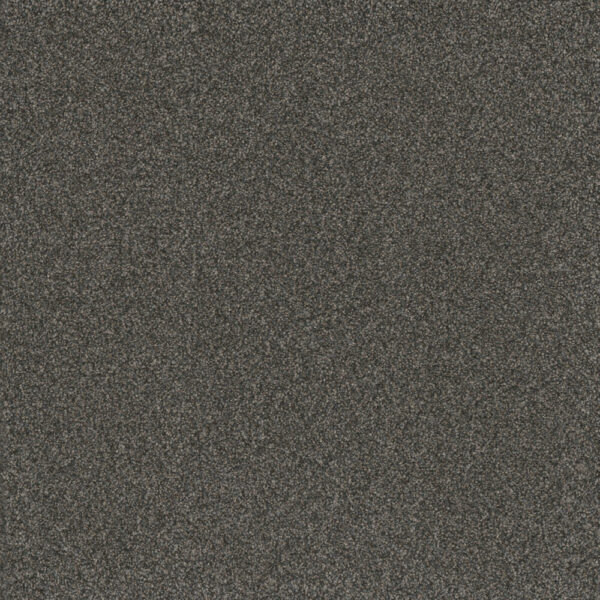 Dreamweaver Carpet Titan III Beacon Hill Carpet 4765_293