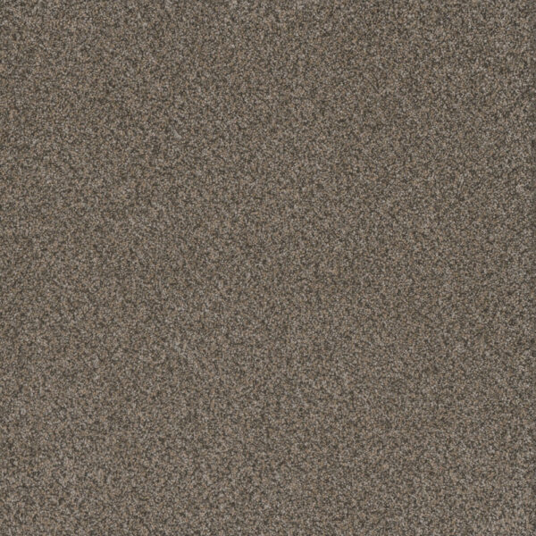 Dreamweaver Carpet Titan III Honeycomb Carpet 4765_335