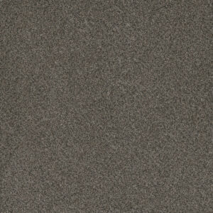 Dreamweaver Carpet Titan II River Crest Carpet 4755_342