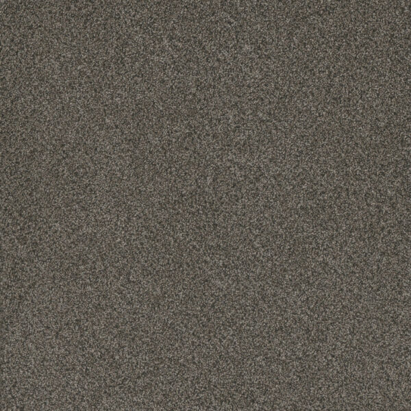 Dreamweaver Carpet Titan II River Crest Carpet 4755_342