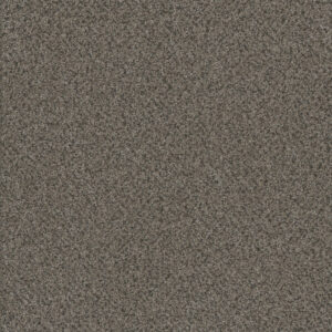 Dreamweaver Carpet Titan II Quail Hollow Carpet 4755_362