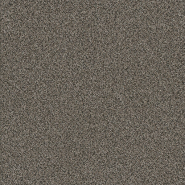 Dreamweaver Carpet Titan I Quail Hollow Carpet 4640_362
