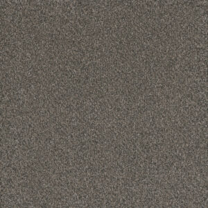 Dreamweaver Carpet Titan II Castle Rock Carpet 4755_387