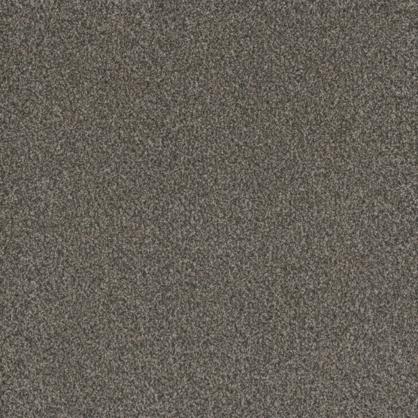 Dreamweaver Carpet Titan II Castle Rock Carpet 4755_387