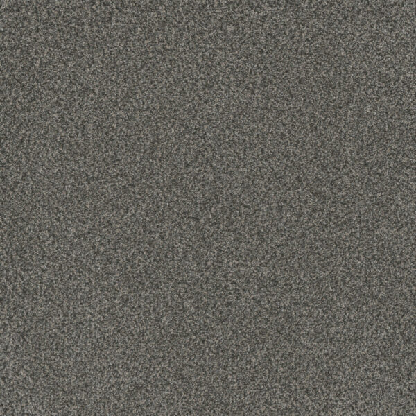 Dreamweaver Carpet Titan I Crystal Downs Carpet 4640_412
