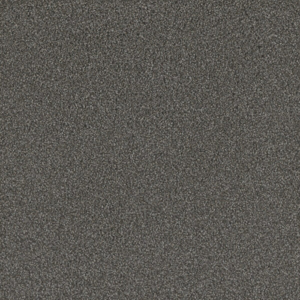 Dreamweaver Carpet No Limits III Warm Shadow Carpet 9354_5001