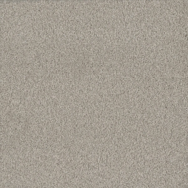 Dreamweaver Carpet No Limits III Wonderland Carpet 9354_5068