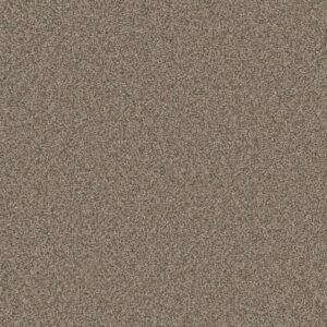 Dreamweaver Carpet Royale I Umber Carpet 5137_6004