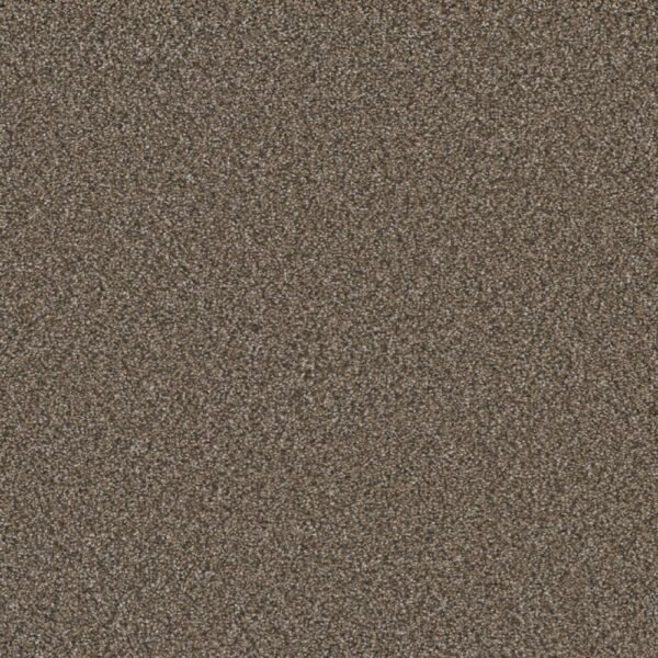 Dreamweaver Carpet Royale I Fawn Carpet 5137_6005