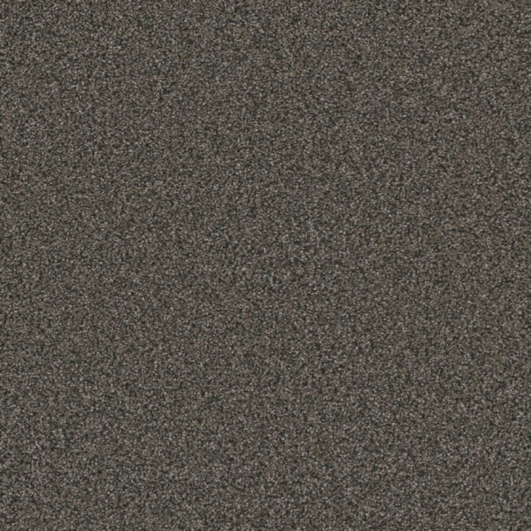 Dreamweaver Carpet Royale I Burnt Amber Carpet 5137_6007