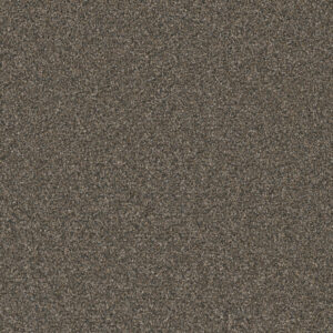Dreamweaver Carpet Royale I Bordeaux Carpet 5137_6009