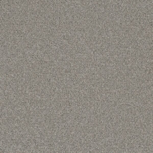 Dreamweaver Carpet Royale I Winterscape Carpet 5137_6040