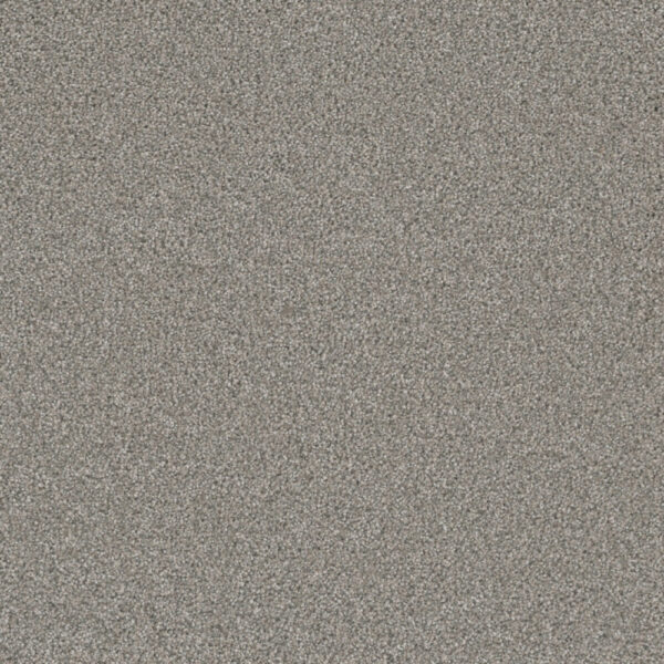 Dreamweaver Carpet Royale I Winterscape Carpet 5137_6040