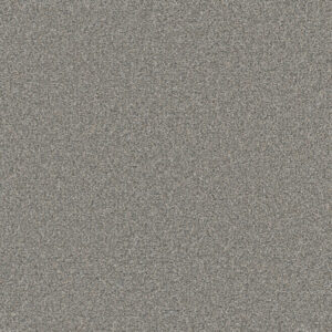 Dreamweaver Carpet Royale I Marble Glaze Carpet 5137_6048