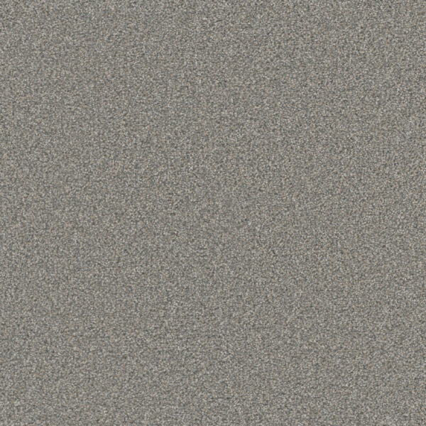 Dreamweaver Carpet Royale I Marble Glaze Carpet 5137_6048