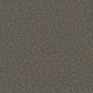 Dreamweaver Carpet Royale I Meadow Dance Carpet 5137_6049