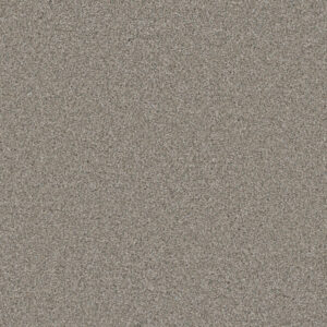 Dreamweaver Carpet Royale I Antique Fresco Carpet 5137_6076