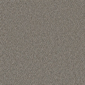 Dreamweaver Carpet Royale I Dogwood Carpet 5137_6077