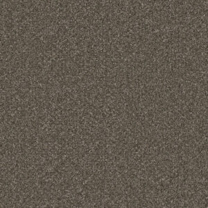 Dreamweaver Carpet Royale I Rugby Carpet 5137_6112
