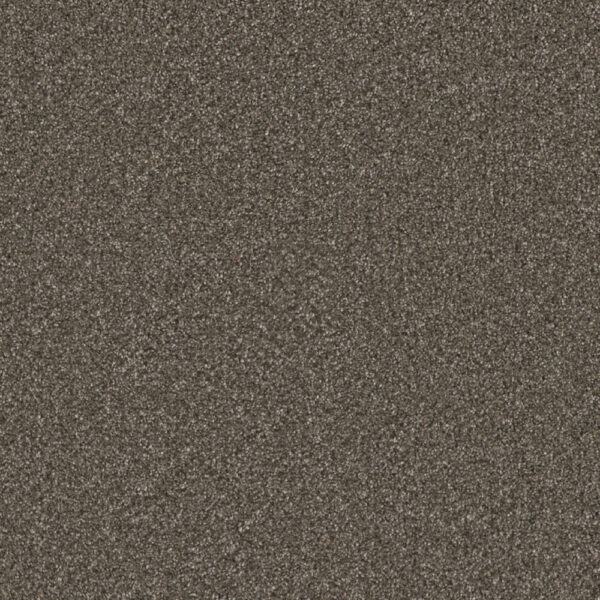 Dreamweaver Carpet Royale I Rugby Carpet 5137_6112