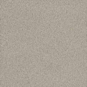 Dreamweaver Carpet No Limits III Aspen Glow Carpet 9354_5165