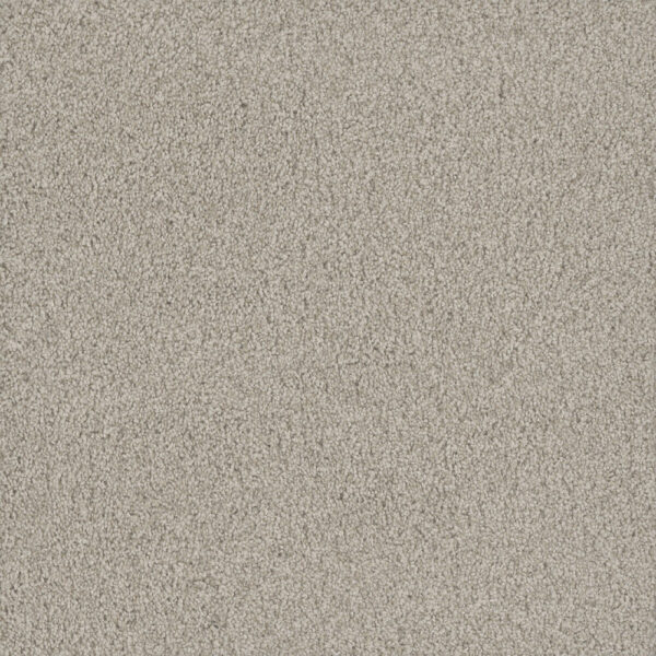 Dreamweaver Carpet No Limits III Aspen Glow Carpet 9354_5165