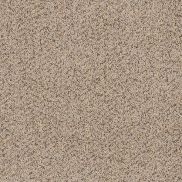 Dreamweaver Carpet Toast Of The Town Winter Blanket Carpet 5315_106