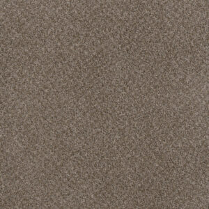 Dreamweaver Carpet Toast Of The Town English Stone Carpet 5315_276